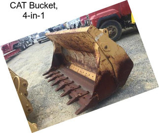 CAT Bucket, 4-in-1