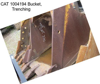 CAT 1004194 Bucket, Trenching