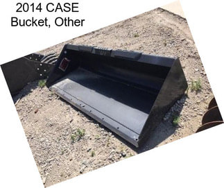 2014 CASE Bucket, Other