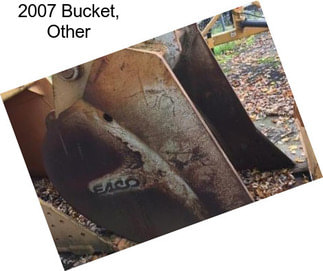 2007 Bucket, Other