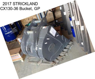 2017 STRICKLAND CX130-36 Bucket, GP