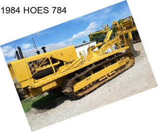 1984 HOES 784