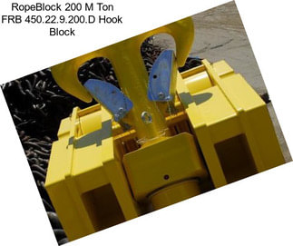 RopeBlock 200 M Ton FRB 450.22.9.200.D Hook Block