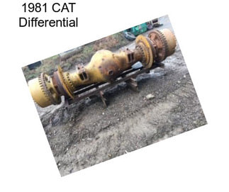 1981 CAT Differential