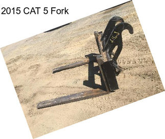 2015 CAT 5 Fork