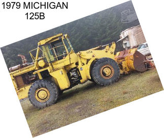 1979 MICHIGAN 125B