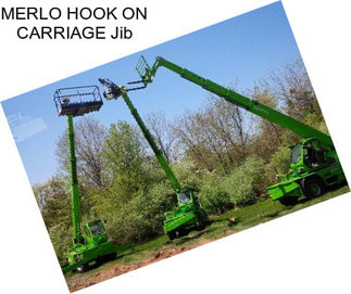 MERLO HOOK ON CARRIAGE Jib