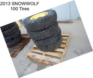 2013 SNOWWOLF 100 Tires