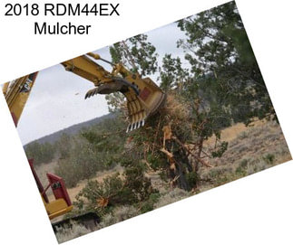 2018 RDM44EX Mulcher