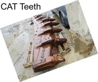 CAT Teeth