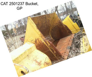 CAT 2501237 Bucket, GP