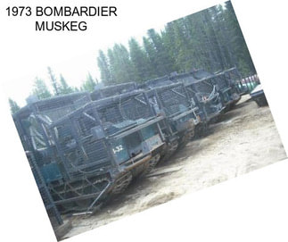 1973 BOMBARDIER MUSKEG