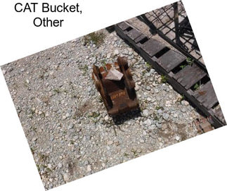 CAT Bucket, Other