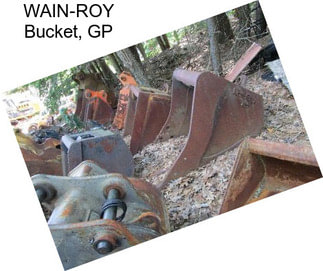 WAIN-ROY Bucket, GP