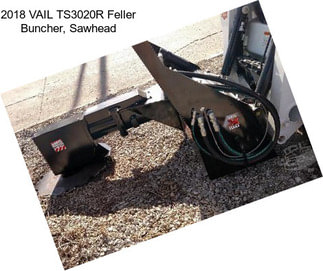 2018 VAIL TS3020R Feller Buncher, Sawhead