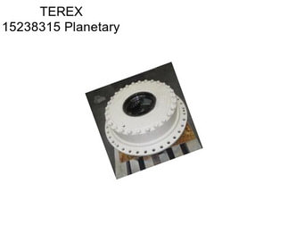 TEREX 15238315 Planetary
