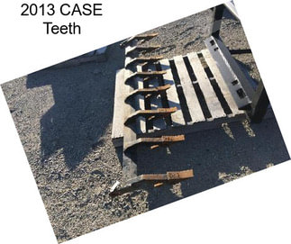 2013 CASE Teeth