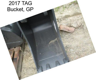 2017 TAG Bucket, GP