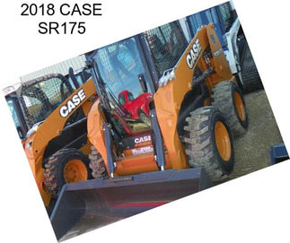 2018 CASE SR175