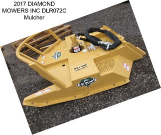 2017 DIAMOND MOWERS INC DLR072C Mulcher