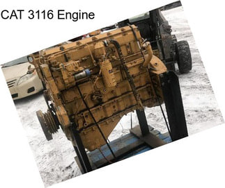 CAT 3116 Engine