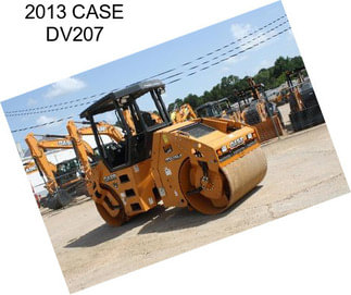 2013 CASE DV207