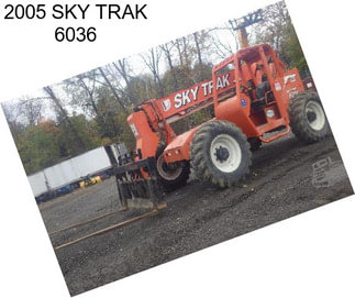 2005 SKY TRAK 6036