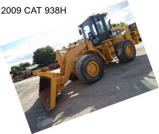 2009 CAT 938H