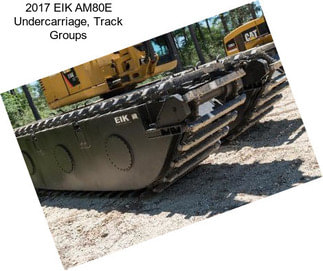 2017 EIK AM80E Undercarriage, Track Groups