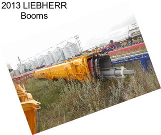 2013 LIEBHERR Booms