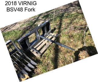 2018 VIRNIG BSV48 Fork