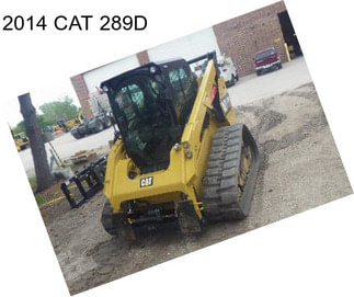 2014 CAT 289D