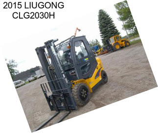 2015 LIUGONG CLG2030H