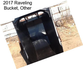 2017 Raveling Bucket, Other