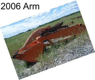 2006 Arm