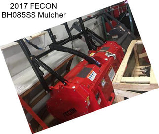 2017 FECON BH085SS Mulcher