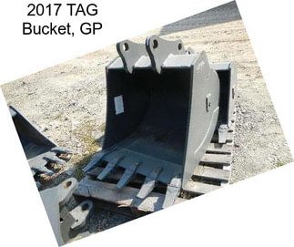 2017 TAG Bucket, GP