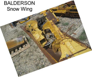 BALDERSON Snow Wing