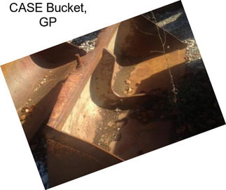 CASE Bucket, GP