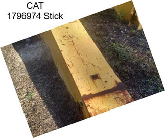 CAT 1796974 Stick