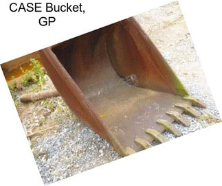 CASE Bucket, GP