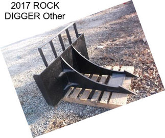 2017 ROCK DIGGER Other