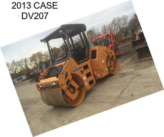 2013 CASE DV207