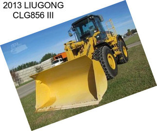 2013 LIUGONG CLG856 III