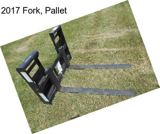 2017 Fork, Pallet