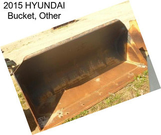 2015 HYUNDAI Bucket, Other