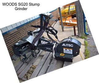 WOODS SG20 Stump Grinder