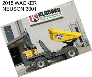 2018 WACKER NEUSON 3001