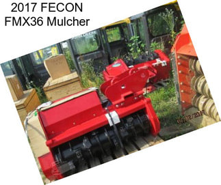 2017 FECON FMX36 Mulcher
