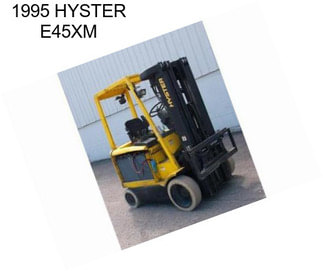 1995 HYSTER E45XM